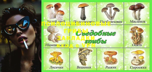 Альфа ПВП Алзамай