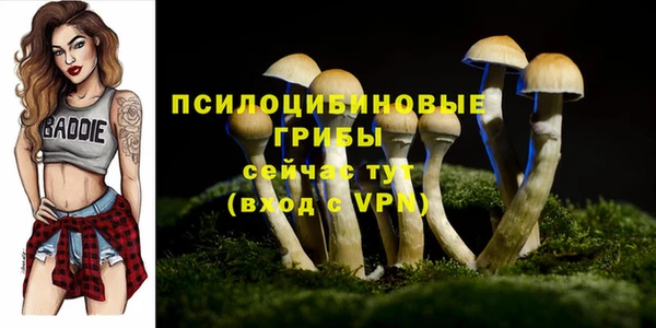 метадон Алексин