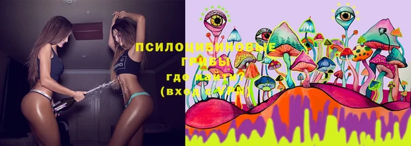 гашик Алексеевка