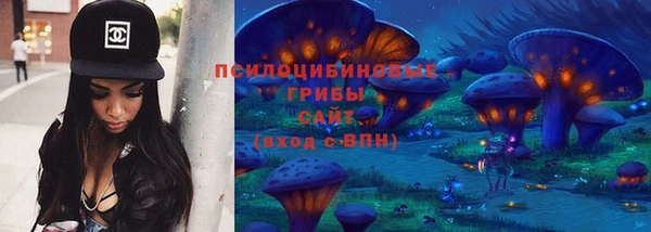 метадон Алексин