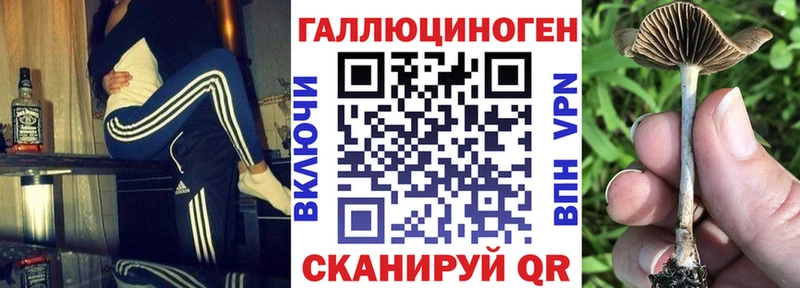 hydra как войти  Апатиты  Псилоцибиновые грибы MAGIC MUSHROOMS  где продают наркотики 